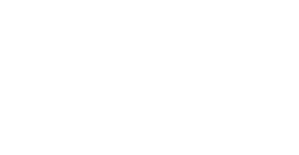 WLT_Software_Logo_White